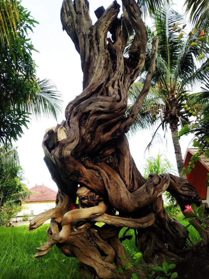 Отель Coconut Гили-Мено Экстерьер фото